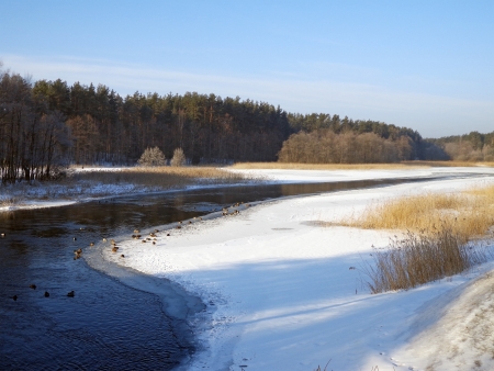 Winterの写真素材
