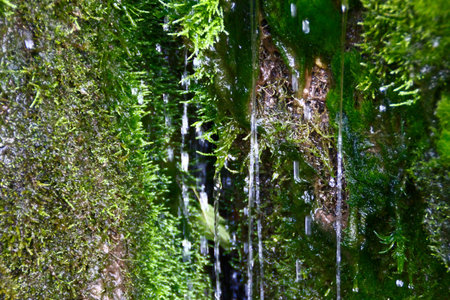 Water flows and drops on the mossy rock