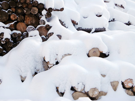 Snow on the logs in the wood storage