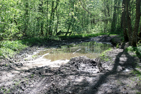 Puddle and tracks on the forest dirt roadの写真素材