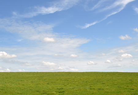 The plain landscape of grass in Tarrawara, Australia.の写真素材