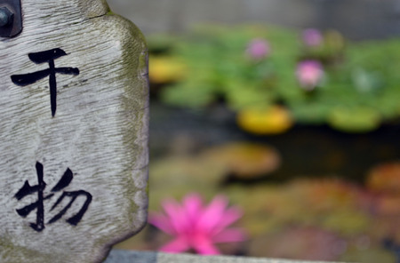 Chinese Letters at Chi Lin Nunnery's garden in Hong Kongの写真素材
