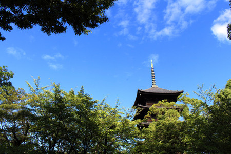 The Toji Temple in Kyoto, Japan. It's a five-story pagoda as well as the tallest wooden tower in Japan. Pic was taken in August 2017.
のeditorial素材