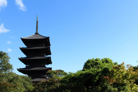The Toji Temple in Kyoto, Japan. It's a five-story pagoda as well as the tallest wooden tower in Japan. Pic was taken in August 2017.のeditorial素材