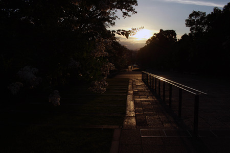 sunset at a Japanese park. Pic was taken in August 2017のeditorial素材