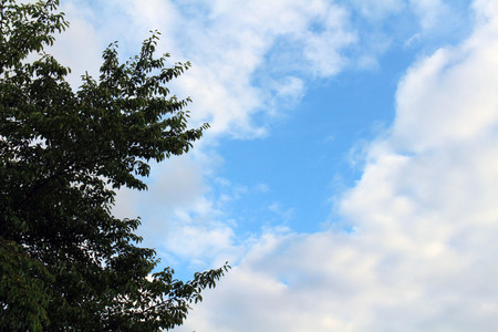 Finally, blue sky in Kyoto -even though it's still cloudy-. During my visit it was cloudy and a bit dark everyday. Pic was taken in August 2017のeditorial素材