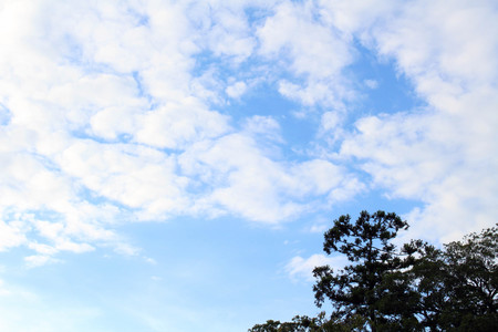 Finally, blue sky in Kyoto -even though it's still cloudy-. During my visit it was cloudy and a bit dark everyday. Pic was taken in August 2017のeditorial素材