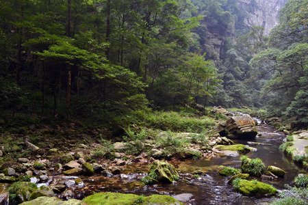 Hiking around the park in Wulingyuan scenic area.の写真素材