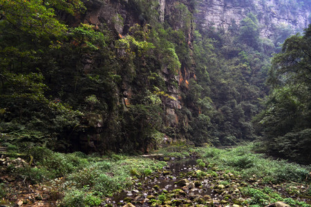 Hiking around the park in Wulingyuan scenic area. Greenies everywhere and river along the path! Pic was taken in Zhangjiajie, September 2017の写真素材