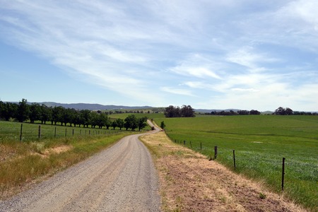The dirt road in a farm, Victoria, Australia. Pic was taken in November 2016.の写真素材