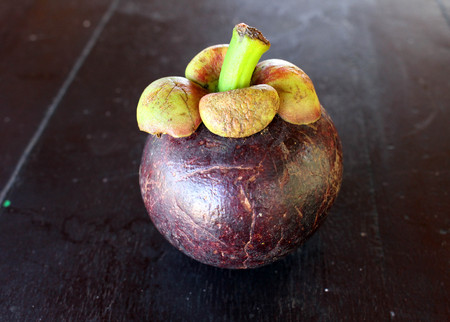 Purple mangosteen, a tropical fruit. Locally known as "manggis" in Indonesia.の写真素材