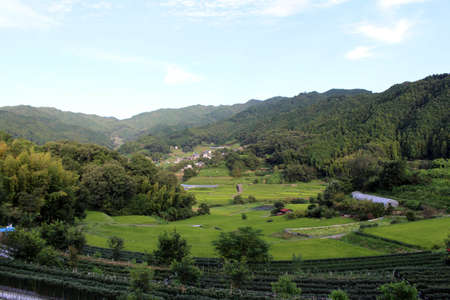 Green rice terrace in Asuka, Nara, Japan. Taken in September 2019.の写真素材