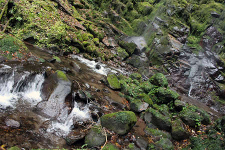 Water falling at Onbara Falls in Beppu, Oita. Taken in September 2019.の写真素材