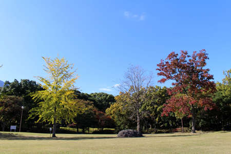 Colorful Japanese spring season at at Minamitateishi Park with mountain as background.の写真素材