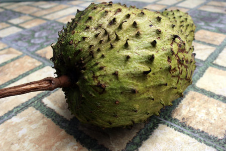 Light green soursop or sirsak in Indonesia.