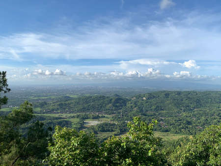 View of green plain in Bantul, Southern Yogyakartaの写真素材