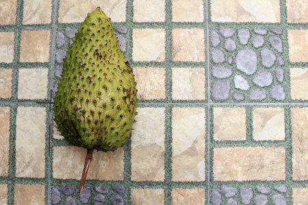 Light green soursop or sirsak in Indonesia.