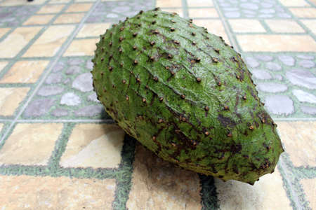 Dark green soursop or sirsak in Indonesia.の写真素材