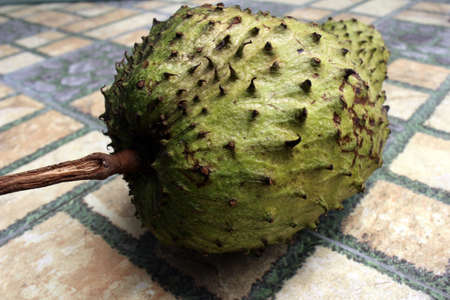 Light green soursop or sirsak in Indonesia.の写真素材