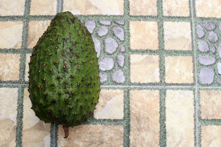 Dark green soursop or sirsak in Indonesia.