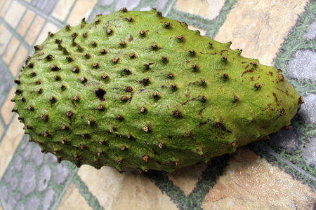 Light green soursop or sirsak in Indonesia.の写真素材