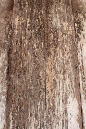 Closeup of balinese barong, a panther like creature in mythology.の写真素材