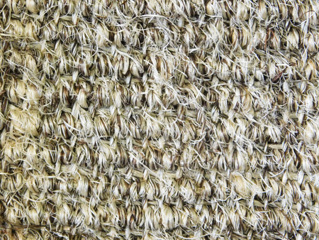 Cat scratching post macro photo.の写真素材