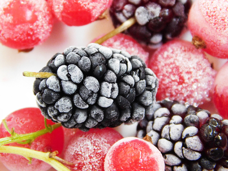 Frozen red currant and mulberry macro photo.の写真素材