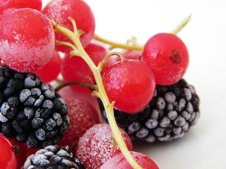 Frozen red currant and mulberry macro photo.の写真素材
