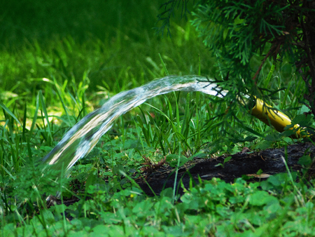 Water flowing from the pipe to the grass.の写真素材