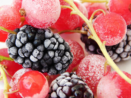 Frozen red currant and mulberry macro photo.の写真素材