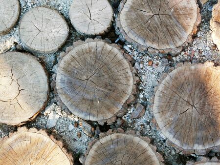 A part of a log walkway.の写真素材