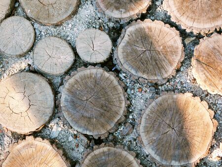 A part of a log walkway.の写真素材