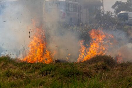 Farmers who burn straw stay when the harvest is complete. Rice field after harvest.の写真素材