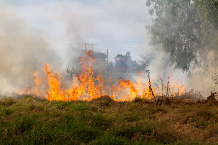 Farmers who burn straw stay when the harvest is complete. Rice field after harvest.の写真素材