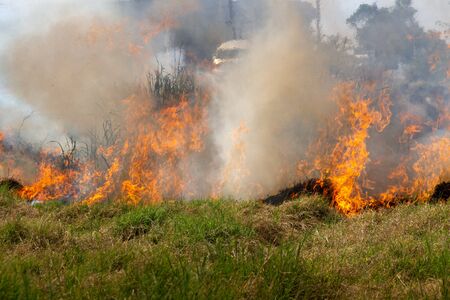 Farmers who burn straw stay when the harvest is complete. Rice field after harvest.の写真素材