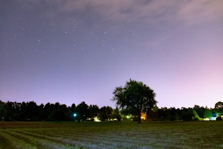 Night scene of farmland, with a central tree. night photographyの写真素材