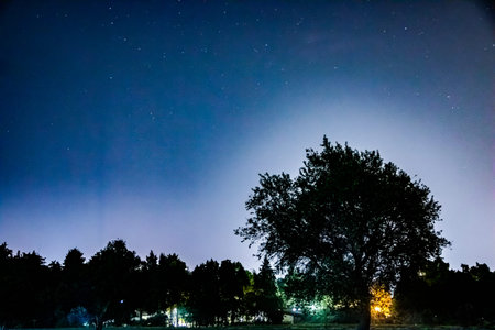 Night scene of farmland, with a central tree. night photography