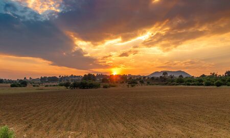 Sunset in wheat field during the magic hour. Field, forestの写真素材