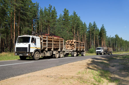 Two cars loaded with wood going down hillの写真素材
