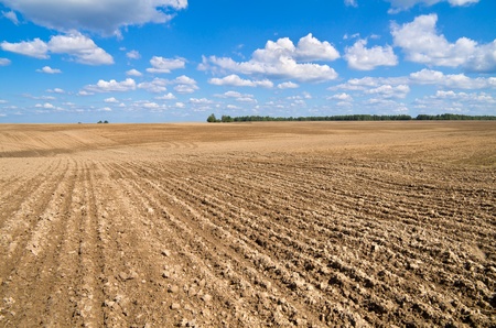 Rural landscape. Plowed field with a beautiful blue sky and clouds.の写真素材