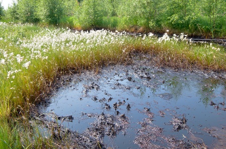 Failure on the oil pipeline. Nature pollution.の写真素材