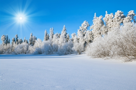 Winter Landscapeの写真素材