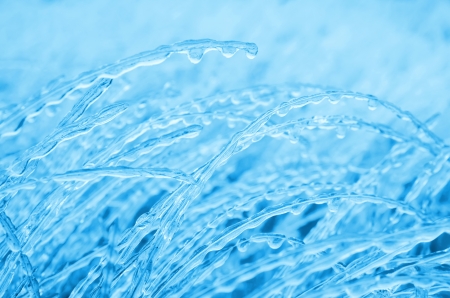 Background of the icy grass.の写真素材