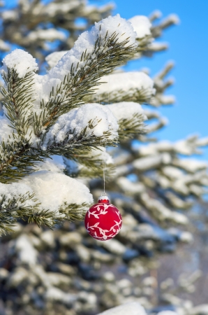 Red Christmas ball on a snow-covered tree branchの写真素材