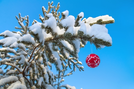 Red Christmas ball on a snow-covered tree branchの写真素材