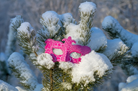 Carnival mask on a snow-covered branches of a tree.の写真素材