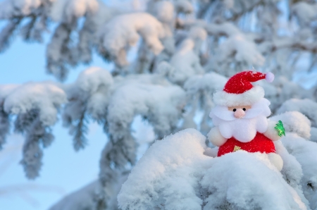Santa Claus sits on a snow-covered Christmas tree branch の写真素材