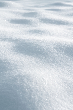 Winter background of shiny snowの写真素材