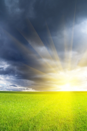 Summer landscape  Green bright field with thunderclouds  Dramatic lighting の写真素材